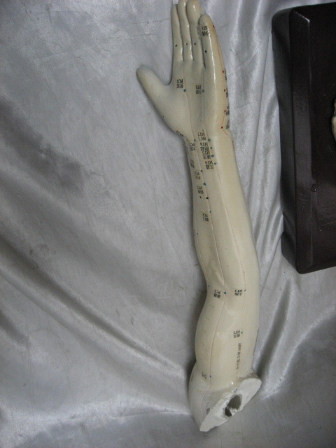人体模型 経穴 人形 人体模型 ツボ 鍼灸 整体 整骨院　全長約84cm　現状品　直接引き渡し対応　②_画像2