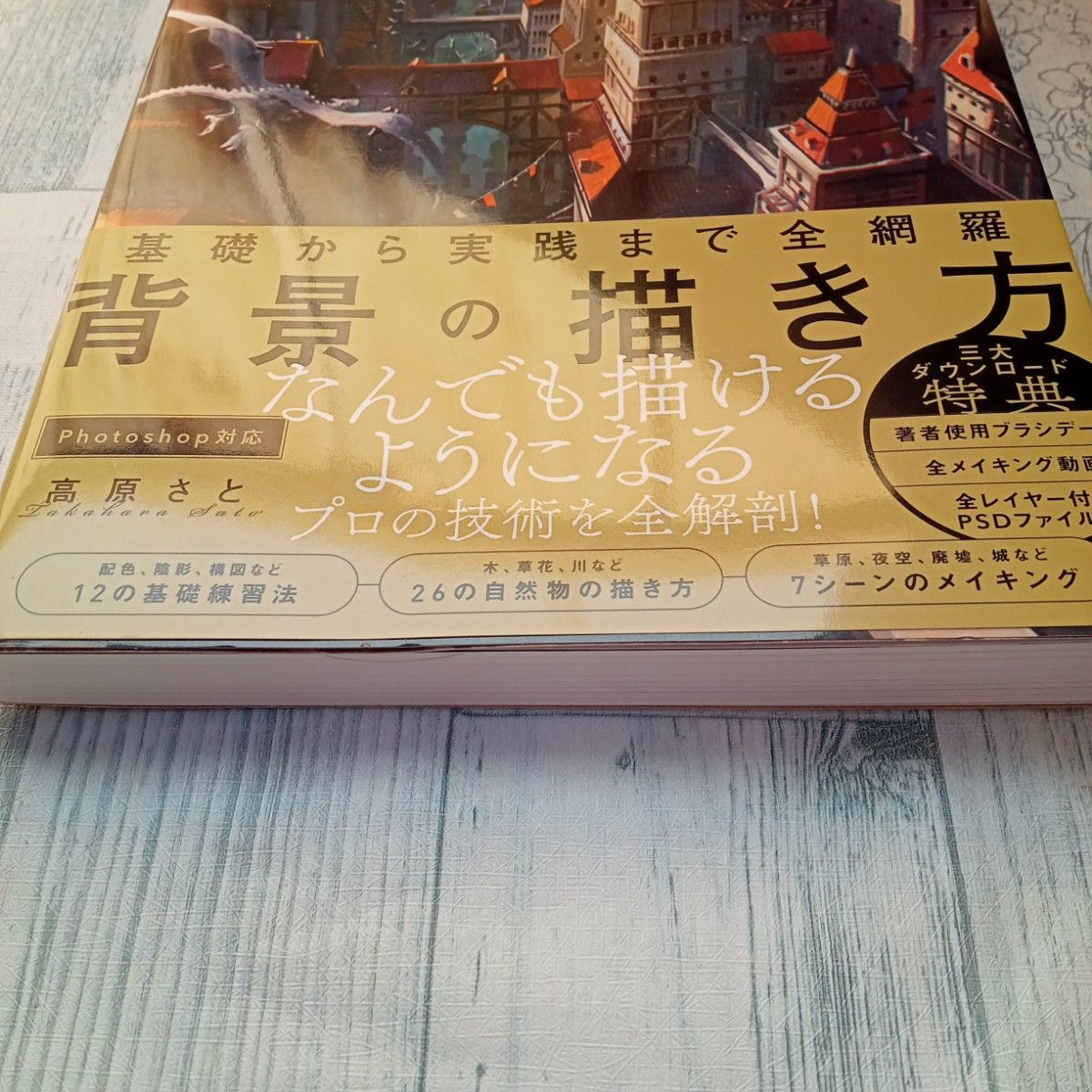 美品【送料無料】『基礎から実践まで全網羅背景の描き方 』なんでも描けるようになる　プロの技術を全解剖　高原さと／著