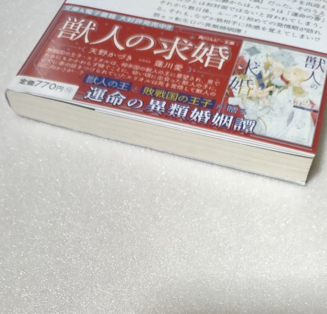 狼は運命のツガイに執着する （角川ルビー文庫　Ｒ９７－６６） 天野かづき／〔著〕