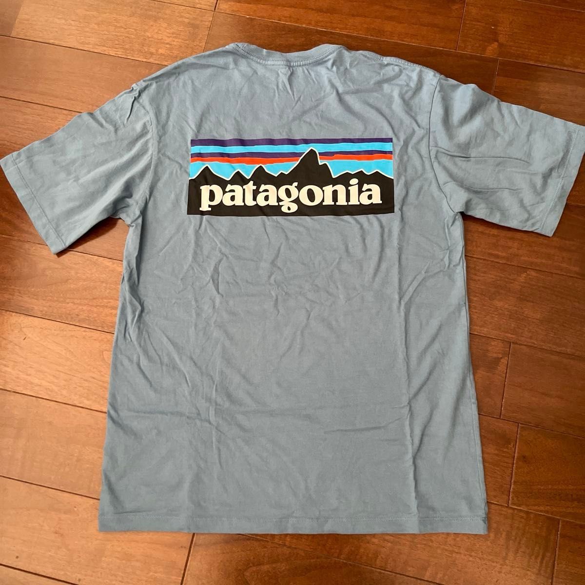 patagonia パタゴニア 半袖Tシャツ オーガニックコットン