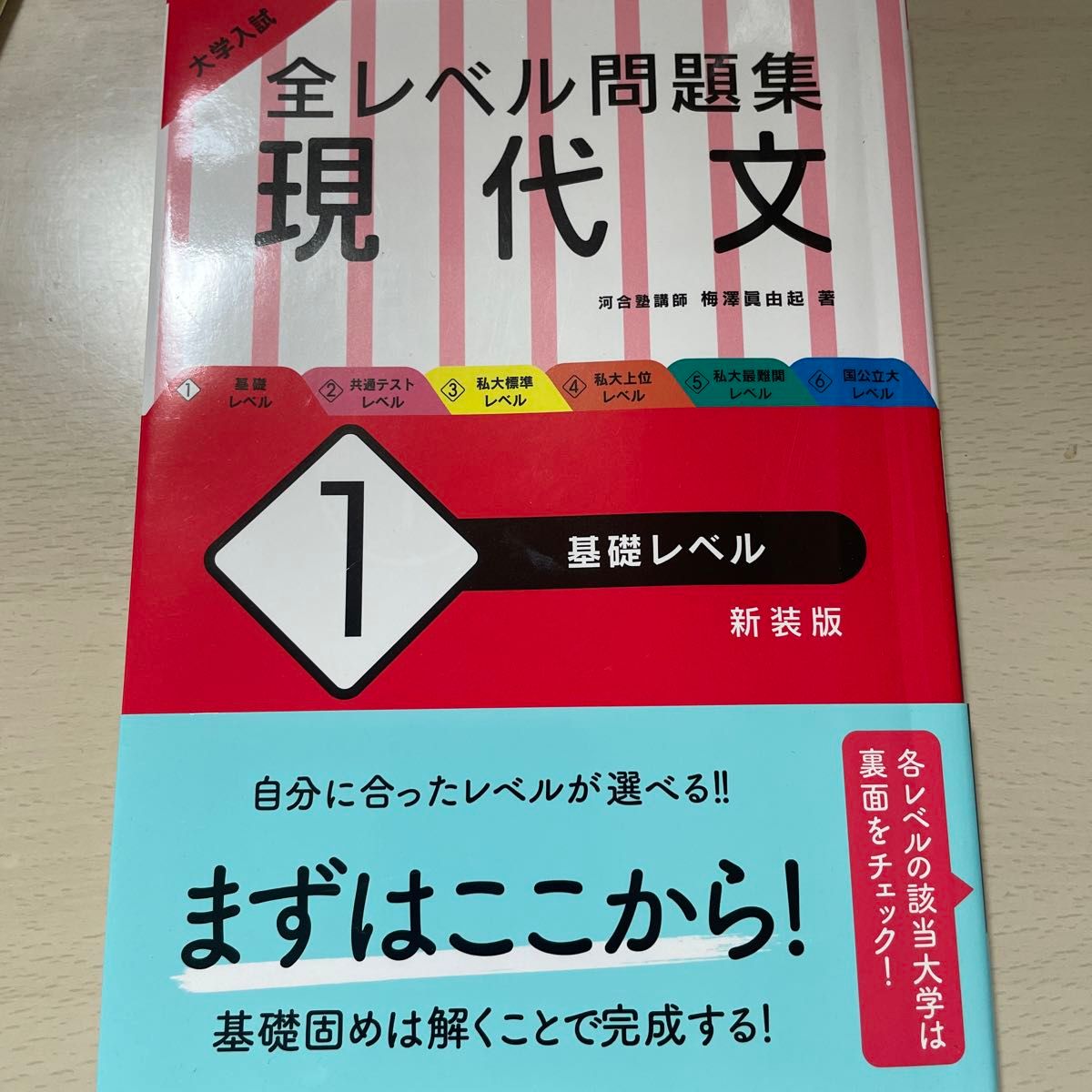 全レベル問題集 大学入試 基礎レベル カバー 単行本 現代文 入試