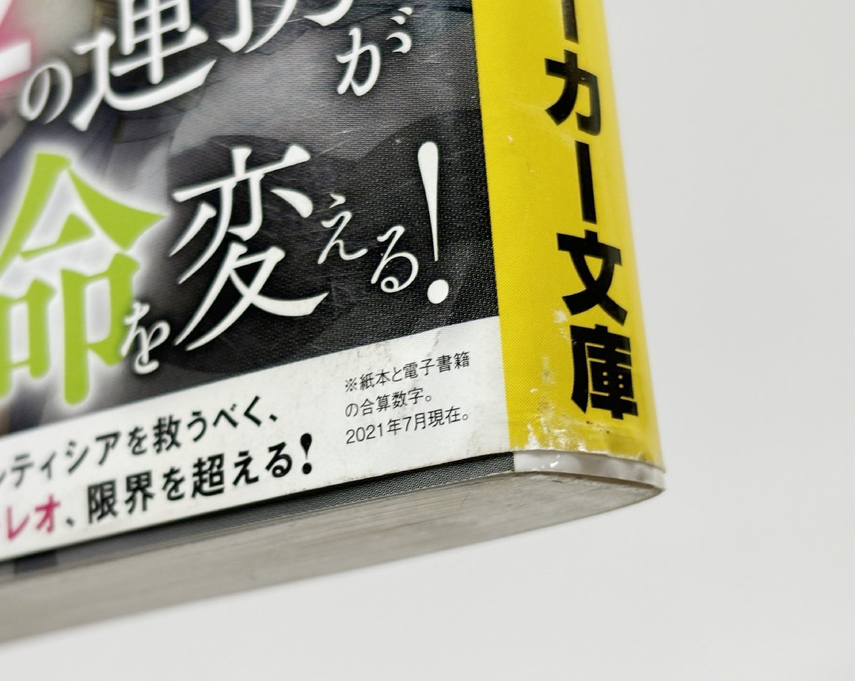 IZU【現状渡し品】 ライトノベル 携帯小説 まとめ売り ※抜け巻・未完セット多めです※ 〈006-240227-MA-01-IZU〉_画像8