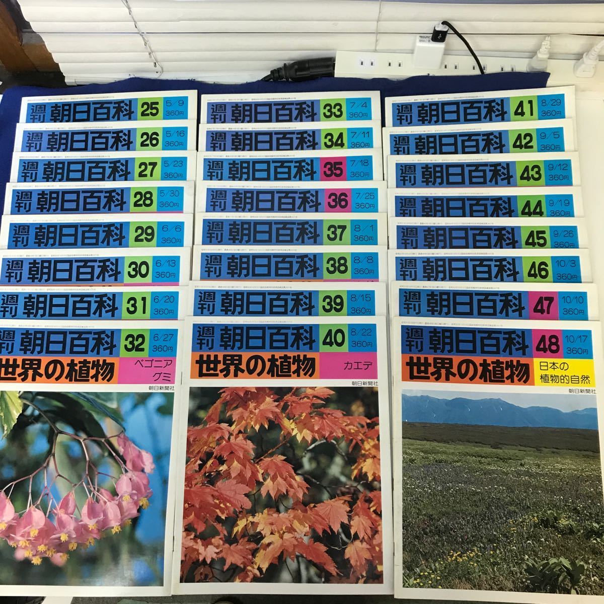 あ46-003 【まとめ】週間朝日百科 世界の植物 全120冊 傷み、歪み等ございます_画像4