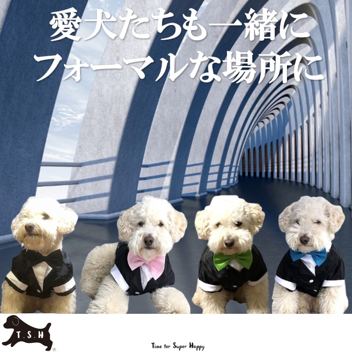 ペット用タキシード（水色・Lサイズ）犬　正装服　コスチューム_画像8