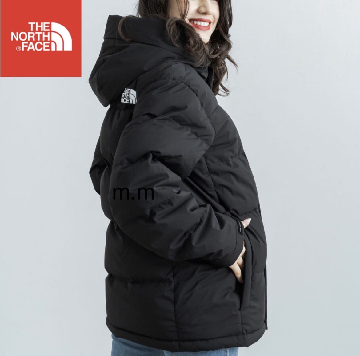 THE NORTH FACE ダウンジャケット JACKET ノースフェイス ダウンジャケット バルトロ ヌプシ 韓国 日本未発売 メンズ レディース M_画像3