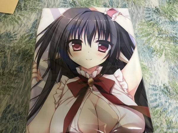 インポート・海外人気ブランド Z 正規品 ライクトロン 超破壊!!バルバロッサ】抱き枕カバー アスモデウス(茉宮祈芹) C90/Chericot*Rozel 抱き枕
