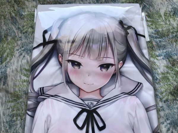 贈る結婚祝い Z 正規品 WORKS /MIGNON (mignon) 抱き枕カバー 後輩ちゃん ライクトロン 抱き枕