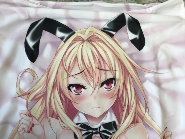 みんなが待ってた!\再入荷待ち/人気ランキング z 正規品 ライクトロン 抱き枕カバー /H・O・P ゴブリンスレイヤー 絵師 吉乃川千冬(神奈月昇) 抱き枕