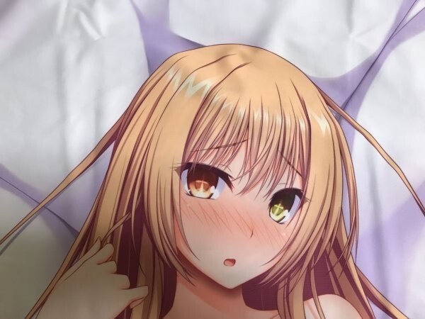 2024人気特価 Z 正規品 つぃっぱいの女の子 抱き枕カバー(すてりい) C90/RainBoy 抱き枕