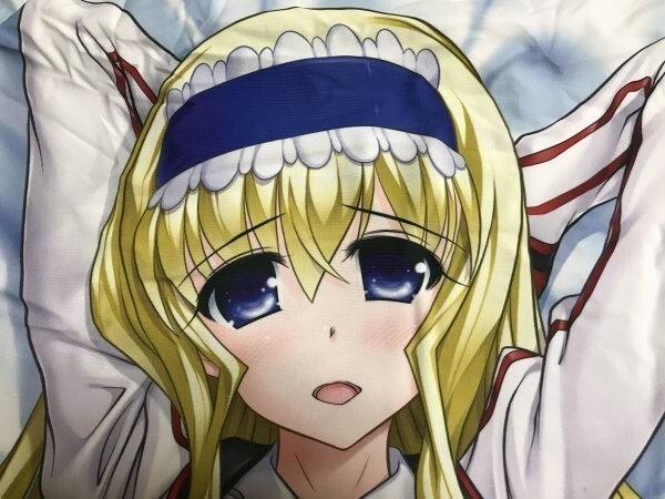 グランド牧場 セレクトセール Z 正規品 ・ストラトス>】抱き枕カバー セシリア・オルコット(来鈍) C81/STUDIOふあん 抱き枕