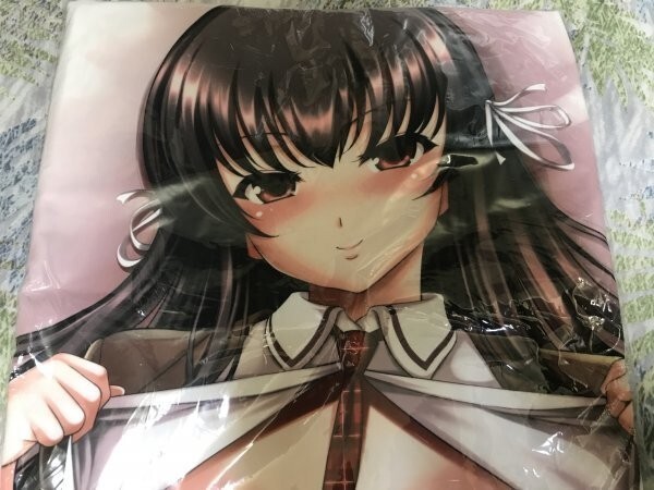 爆買い 英語 Z 正規品 富士島鷹乃 抱き枕カバー ヤスイリオスケ 恋愛不要学派 抱き枕