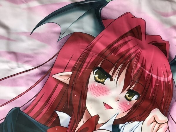 たぬき 希少 Z /Reverse Noise 抱き枕カバー(やむっ) 東方Project】小悪魔 正規品 抱き枕