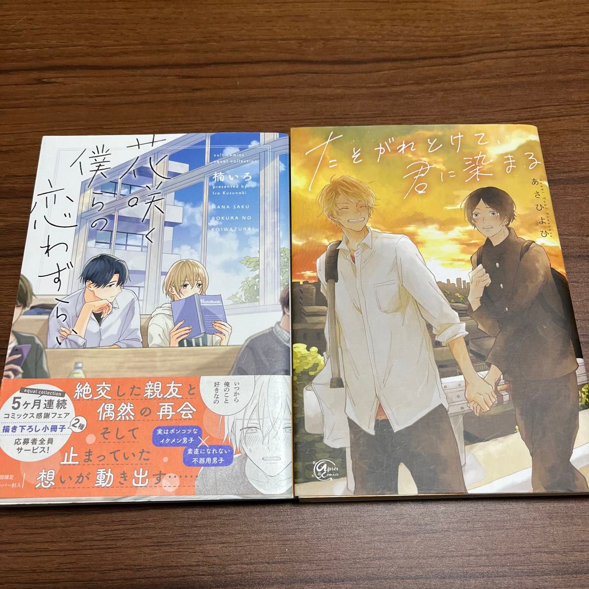 花咲く僕らの恋わずらい/楠いろ bl 漫画 コミック 2冊セット