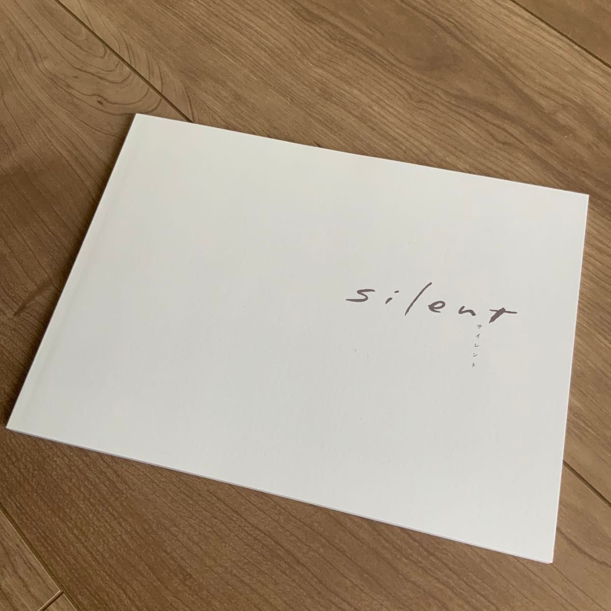 silent -ディレクターズカット版- DVD-BOX