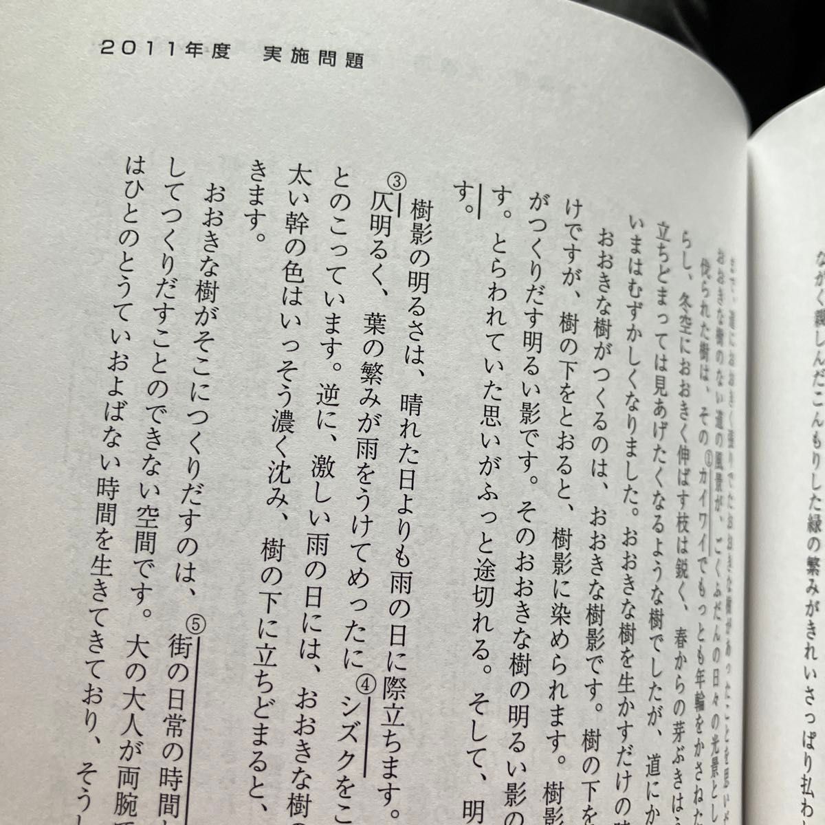 ’２２　大阪府・大阪市・堺市・豊　国語科 （教員採用試験「過去問」シリーズ　　　３） 協同教育研究会　編　教員採用試験　教員試験　