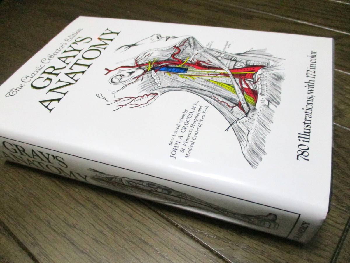 グレイの解剖学 【1248㌻ 大型本】◇洋書 人体の解剖学 人体解剖図　医学　Gray's Anatomy　美術　アート_画像1