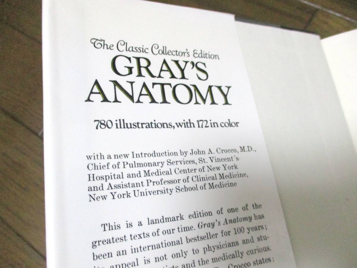 グレイの解剖学 【1248㌻ 大型本】◇洋書 人体の解剖学 人体解剖図　医学　Gray's Anatomy　美術　アート_画像8