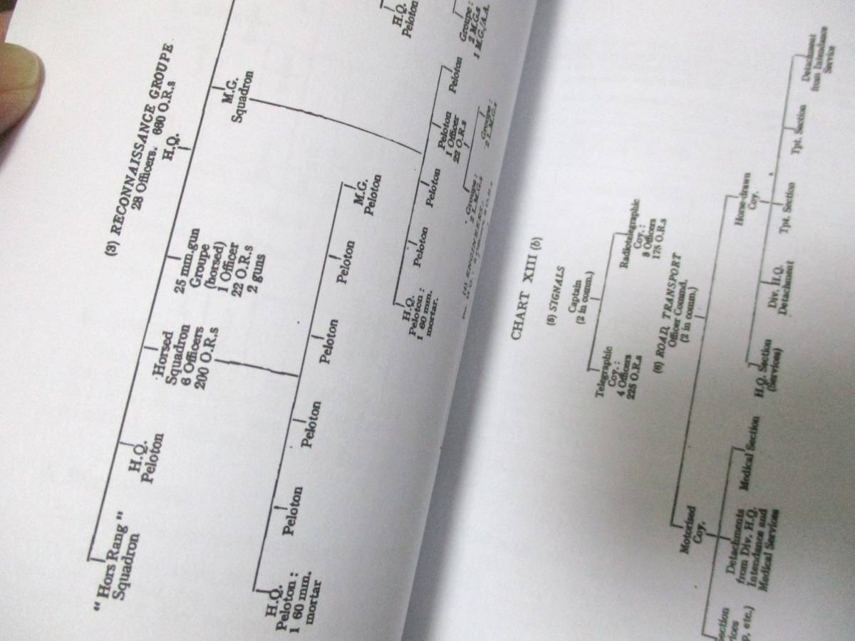 フランス軍のトーチ作戦機密文書◇本 洋書 イギリス アメリカ 米軍 ドイツ 連合軍　第二次世界大戦 ミリタリー 軍服 武器　装備 アフリカ_画像3