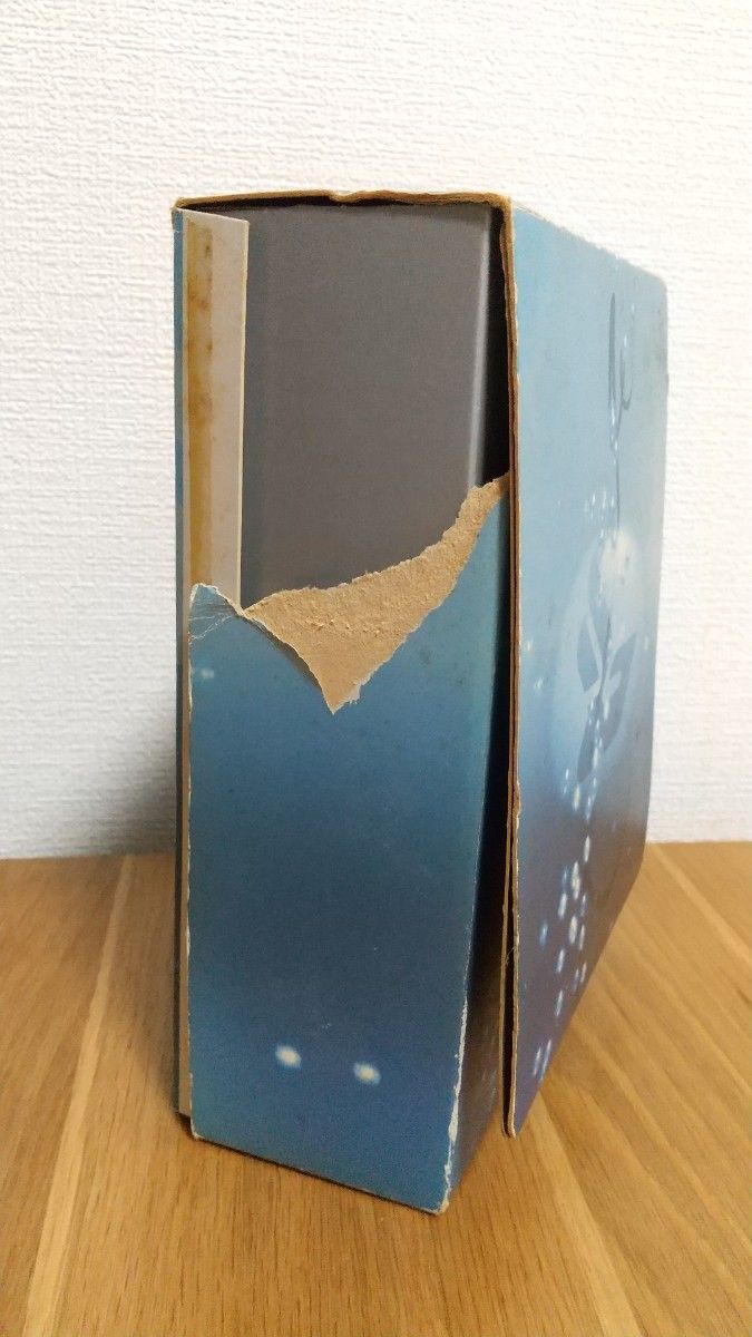 【超レア！】ビョーク  VHS & CD 限定BOX  2本セット