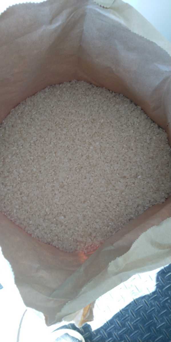 栃木県特一等米ゆうだい21、25キロ無農薬になります。珍しい無農薬のお米を召し上がって見ませんか。もっちり、甘味、ふっくらのゆうだい21_画像3
