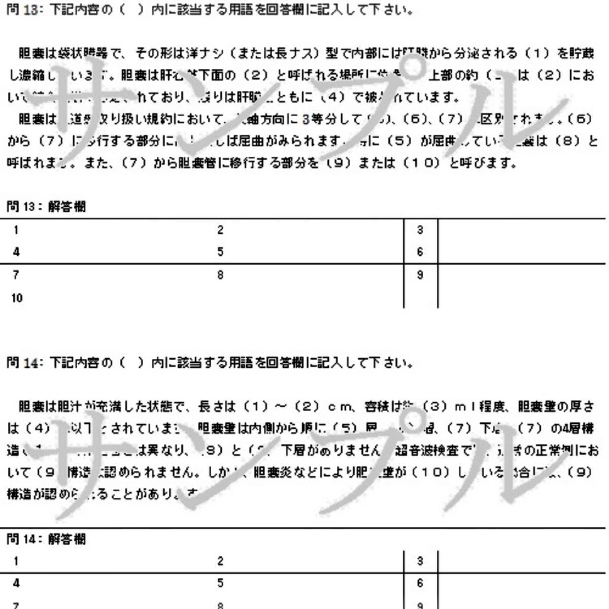 腹部超音波（腹部エコー）検査レベルアップ問題集〜腹部の解剖を理解しよう〜