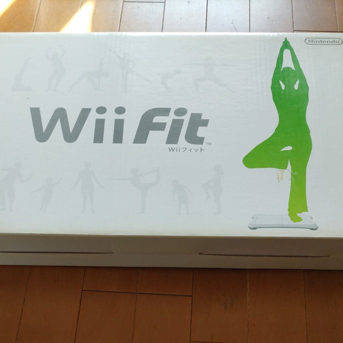 【Wii】 Wii Fit