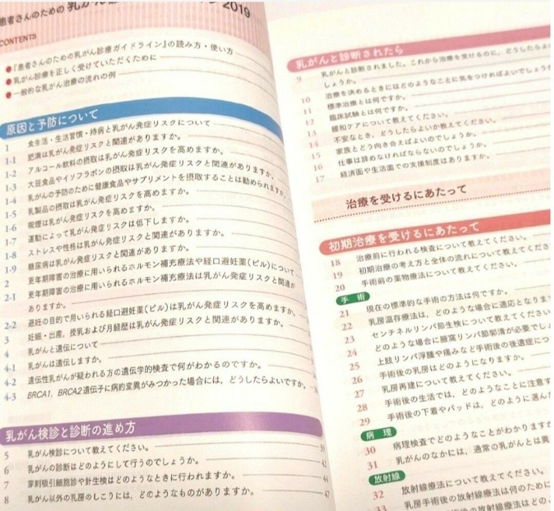 患者さんのための乳がん診療ガイドライン　２０１９年版 日本乳癌学会／編