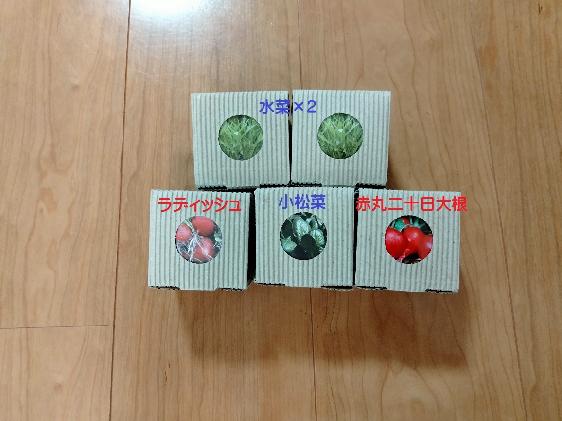 # новый товар [ eko pot культивирование 5 позиций комплект ( шпинат комацуна * редис * красный круг 2 10 день дайкон * мизуна ×2)]# включая доставку 