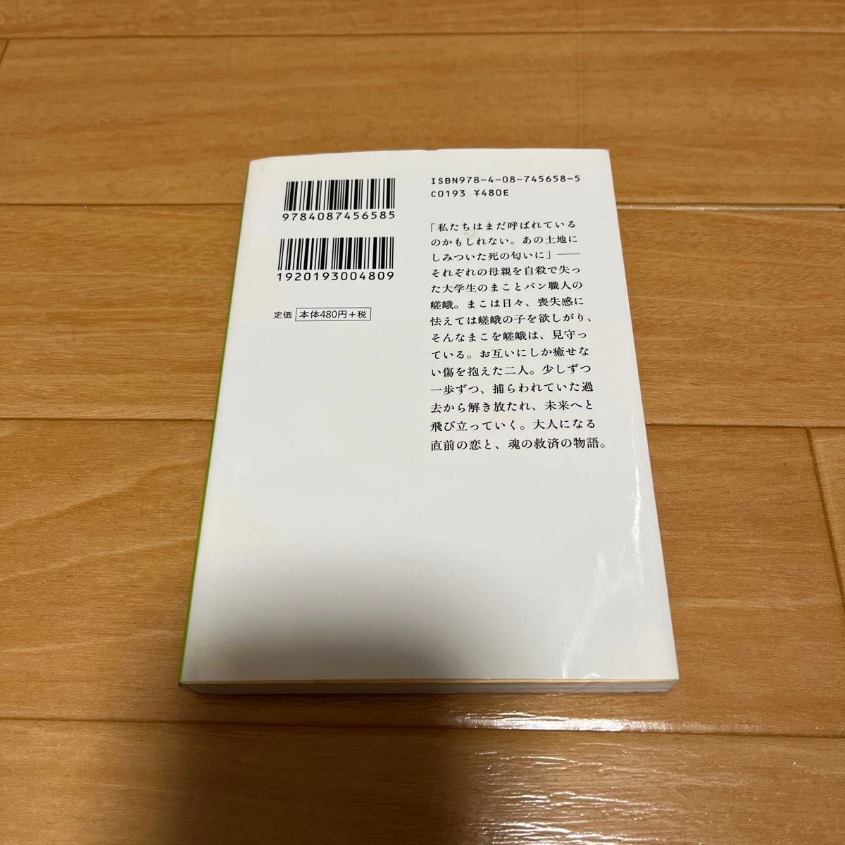 鳥たち （集英社文庫　よ２９－１） よしもとばなな／著