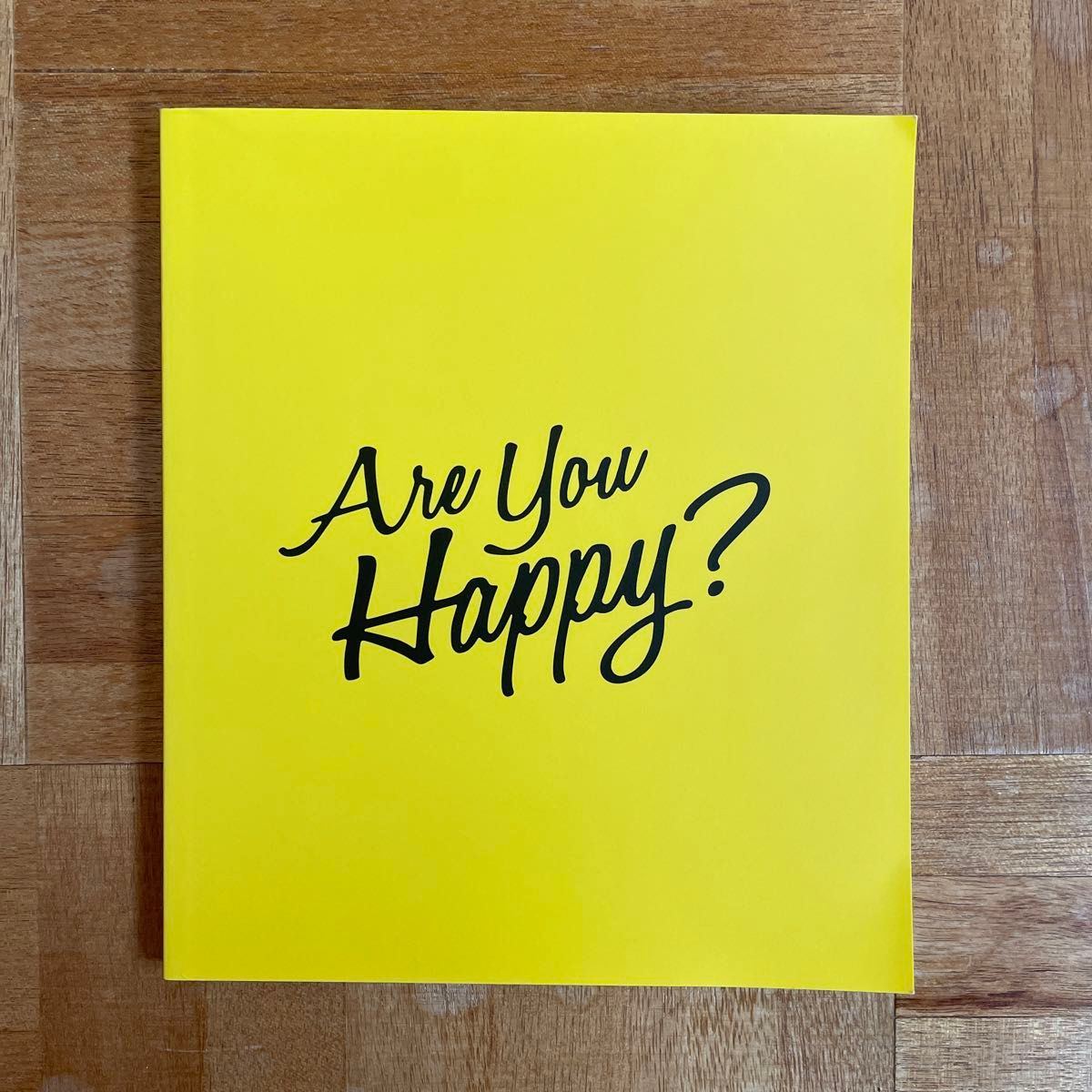 Are You Happy? 嵐 【初回限定盤】(CD+DVD)