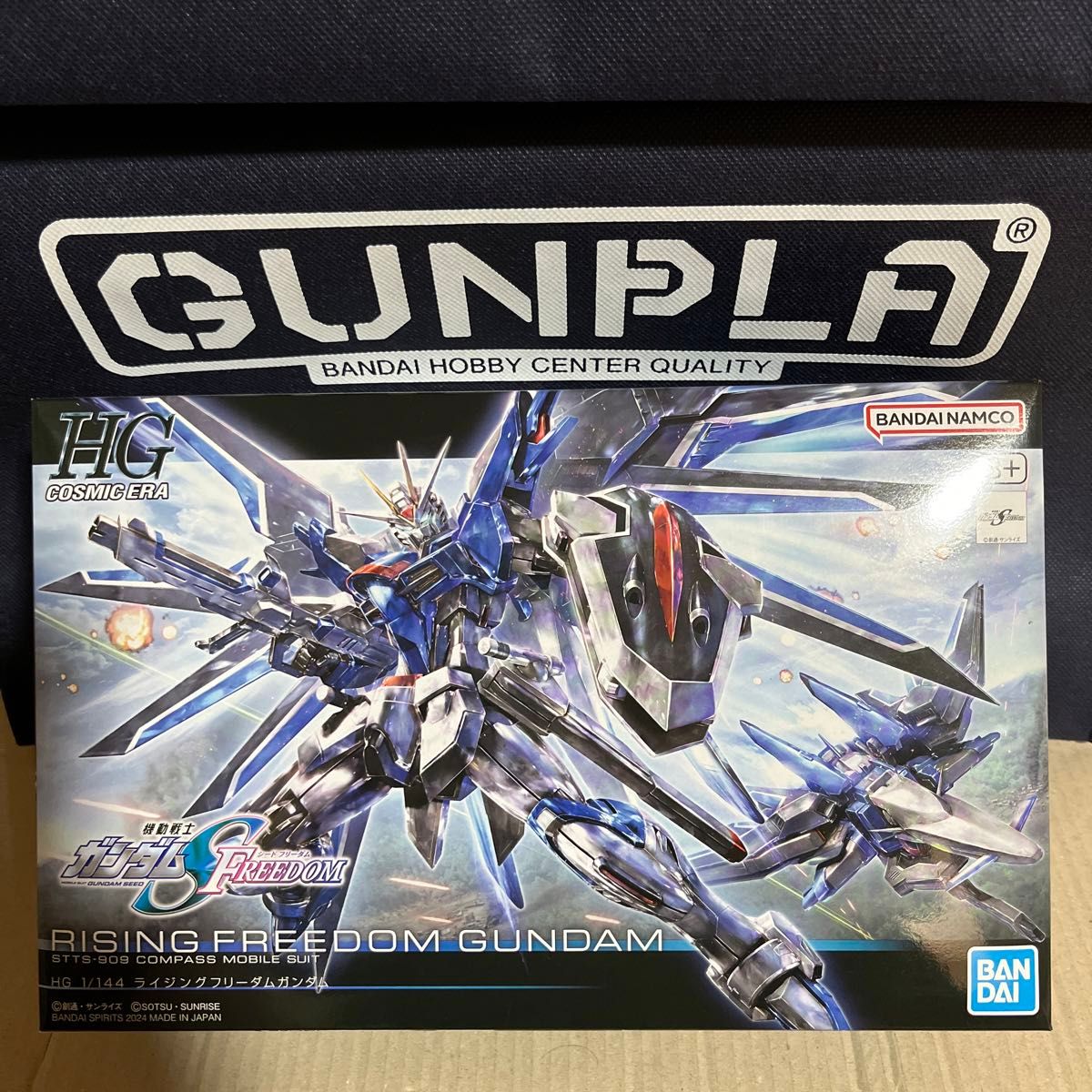 RGフォースインパルスガンダム SpecII/RGストライクルージュ/HG