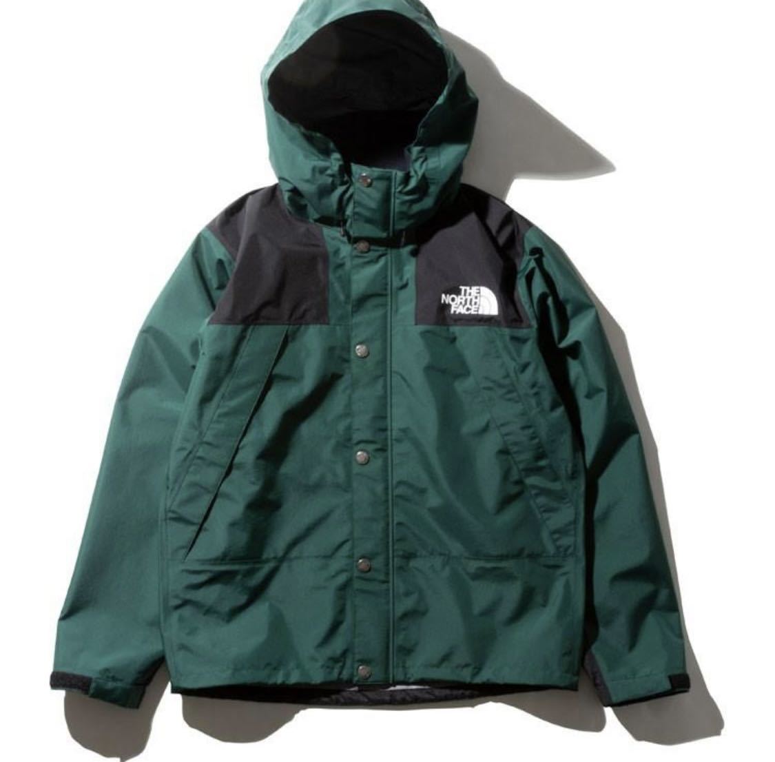 ノースフェイス THE NORTH FACE マウンテンレインテックスジャケット Mountain Raintex Jacket メンズ NP11914 GORE-TEX ゴアテックス