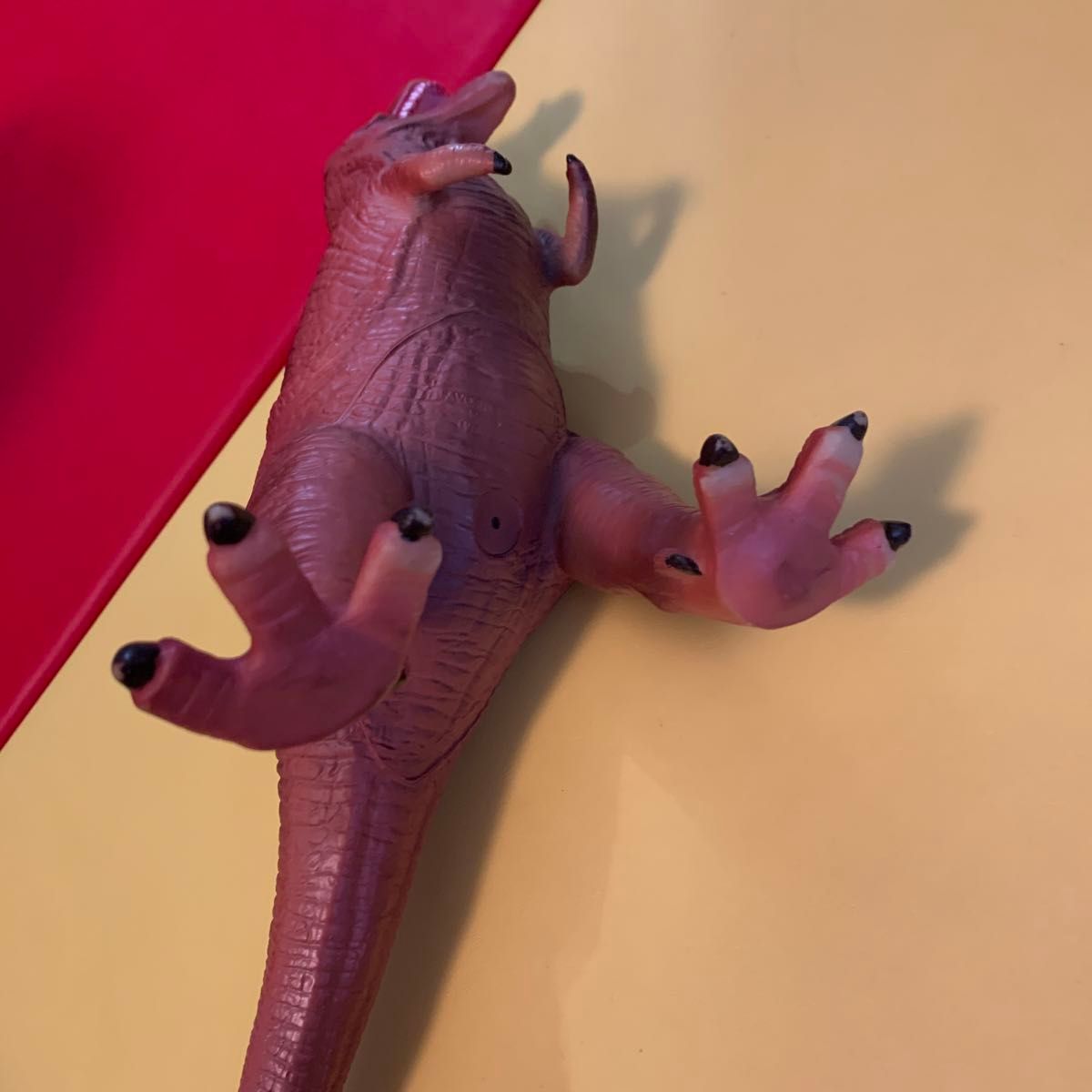 favorite フェバリット ティラノサウルス　プテラノドン