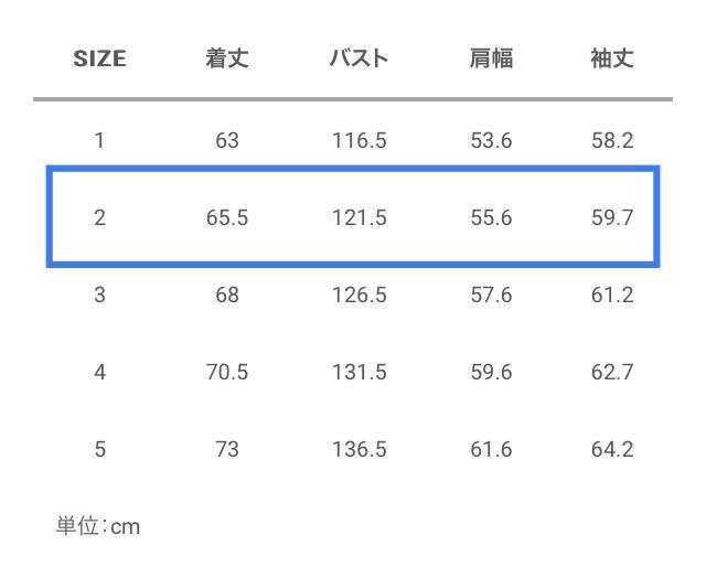 2024SS visvim SS 101XX JKT DMGD-1010サイズ2 ビズビム中村ヒロキデニムジャケットGジャン即完売品JourneymanICTDRY_画像10