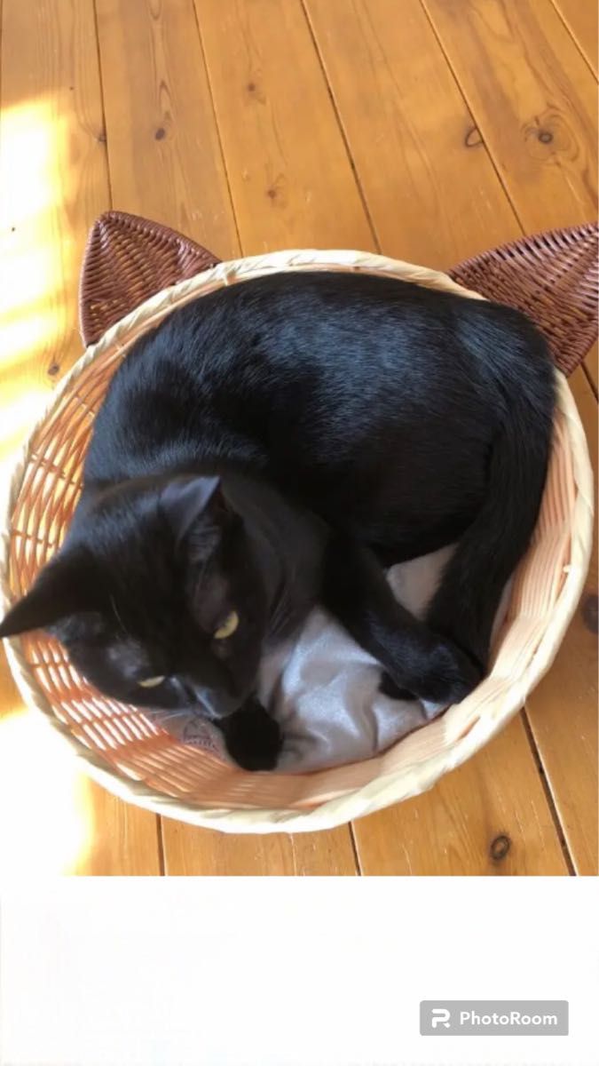 ペットベッド（猫型）猫ハウス　かご　バスケット　猫寝床　