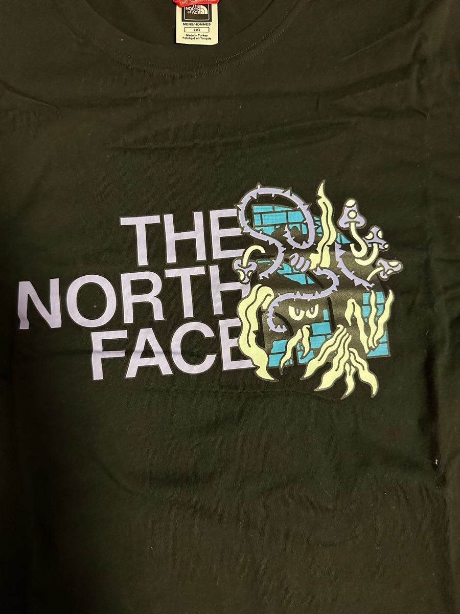THE NORTH FACE ノースフェイス　Tシャツ　海外限定　極美品　Lサイズ　ブラック