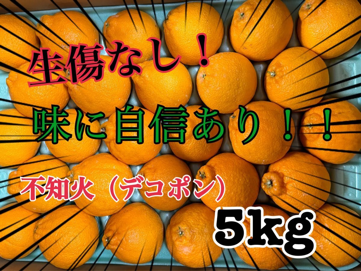 不知火（通称 デコポン）赤秀 生傷なし 5kg 小玉 有田産 みかん