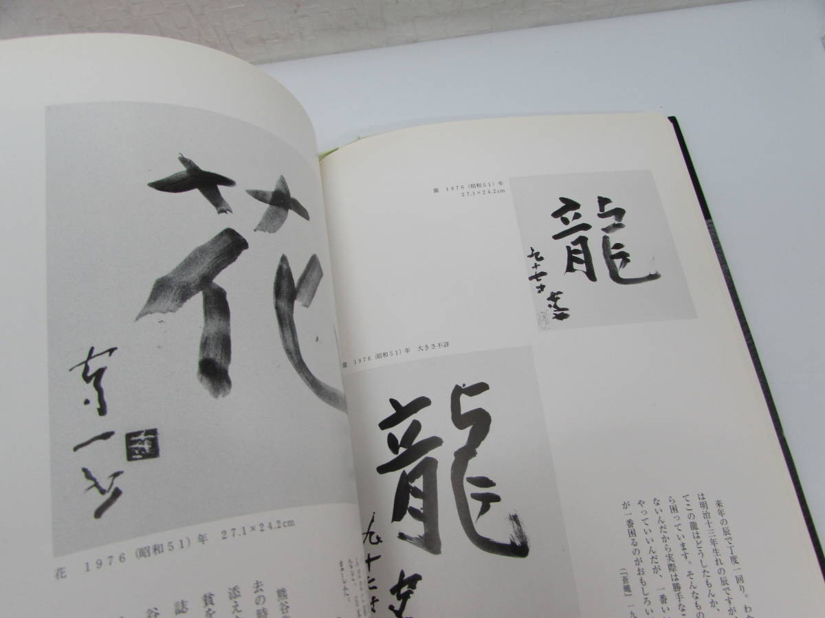 良品 もうひとりの熊谷守一 水墨・書・篆刻 真鍋井蛙編著 平成14年 初版 里文出版発行 水墨画 写真集 画集 本 ハードカバー_画像9