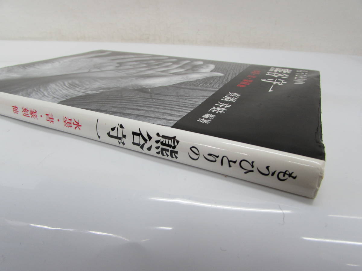 良品 もうひとりの熊谷守一 水墨・書・篆刻 真鍋井蛙編著 平成14年 初版 里文出版発行 水墨画 写真集 画集 本 ハードカバー_画像2