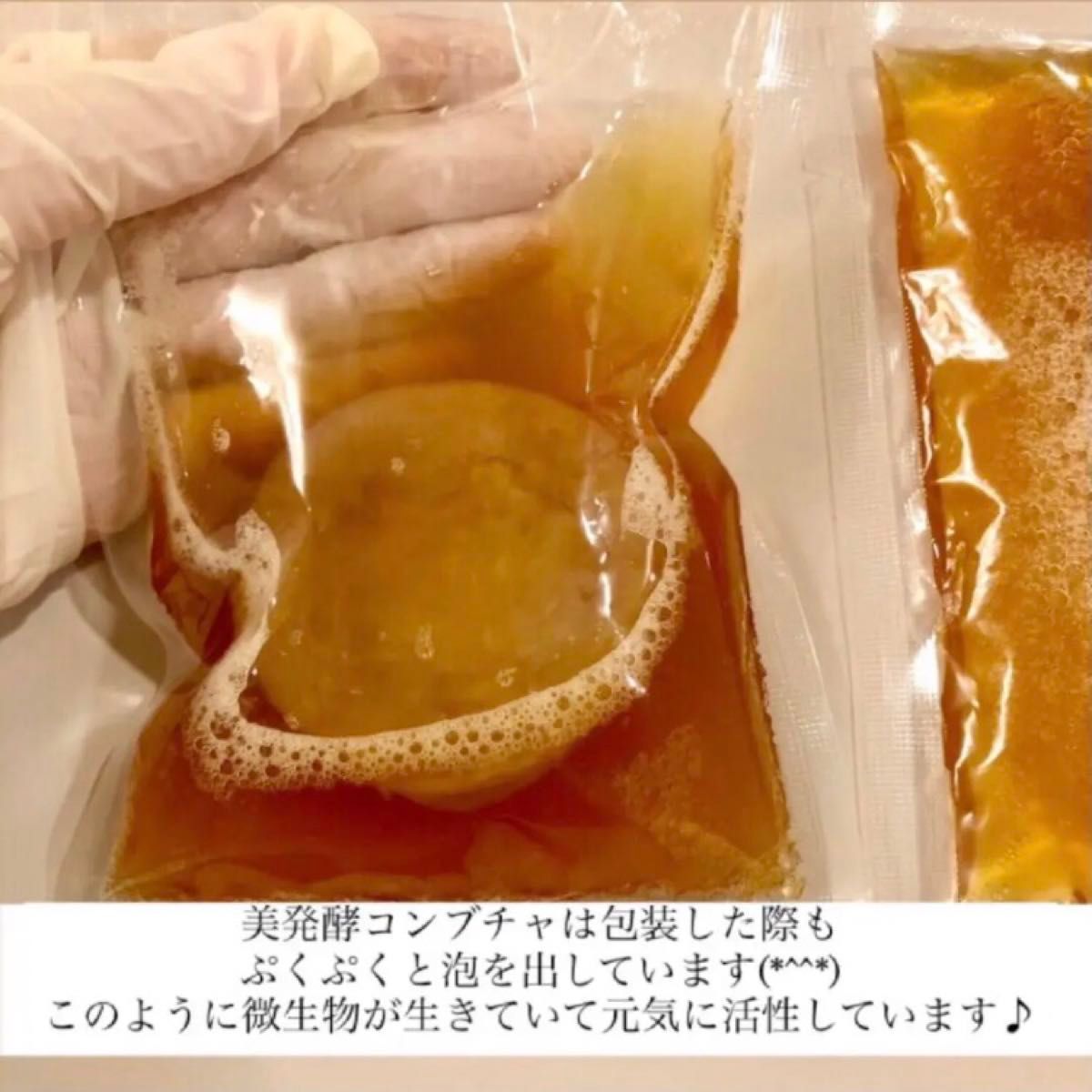 ※ 訳ありスコビー　コンブチャ2リットル作成用　紅茶きのこ