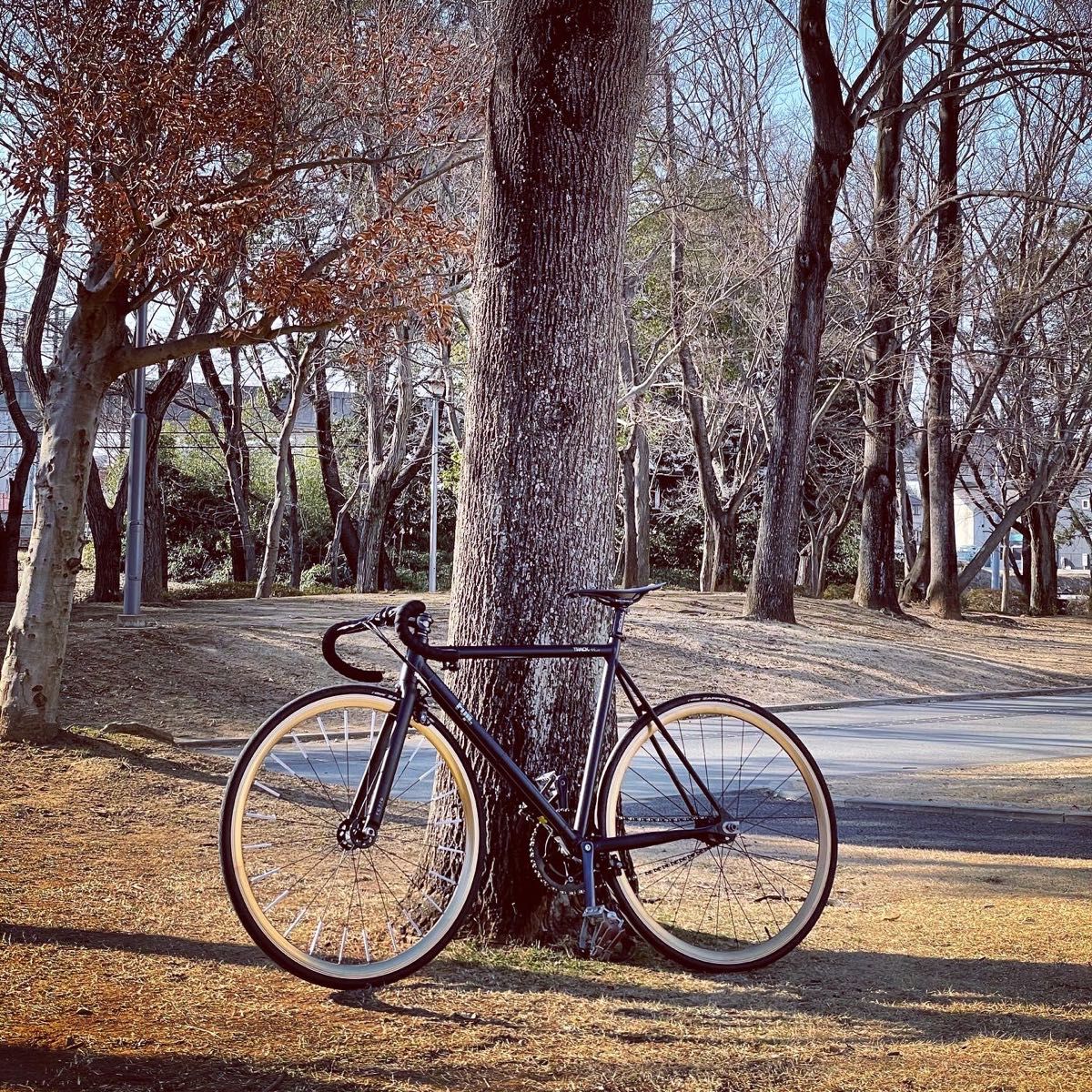 Fuji TRACK ARCV フレーム52cm +純正・社外パーツ多数 ワンオフ Fuji TRACK ARCV フレーム52cm +純正・社外パーツ多数 ワンオフ