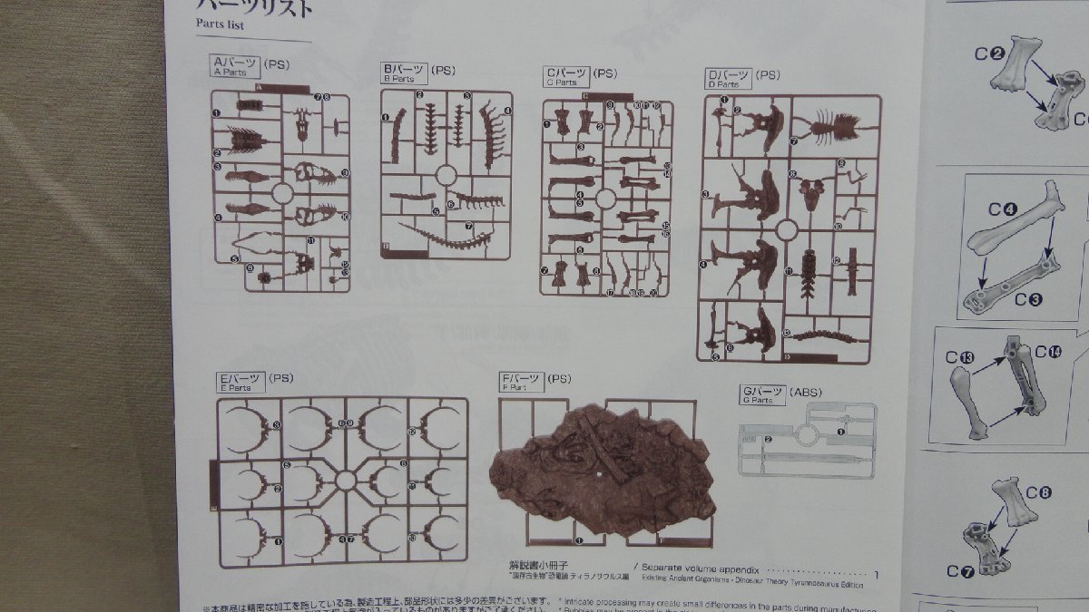 1/32 Imaginary Skeleton ティラノサウルス 未組 バンダイ 恐竜 固定骨格_画像7