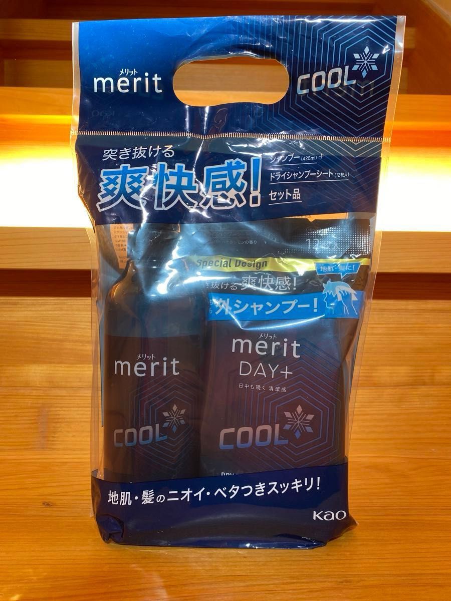 花王 メリット DAY＋ 限定デザイン クールシャンプー＆ドライシャンプー シート セット（425ml＋12枚）×1個