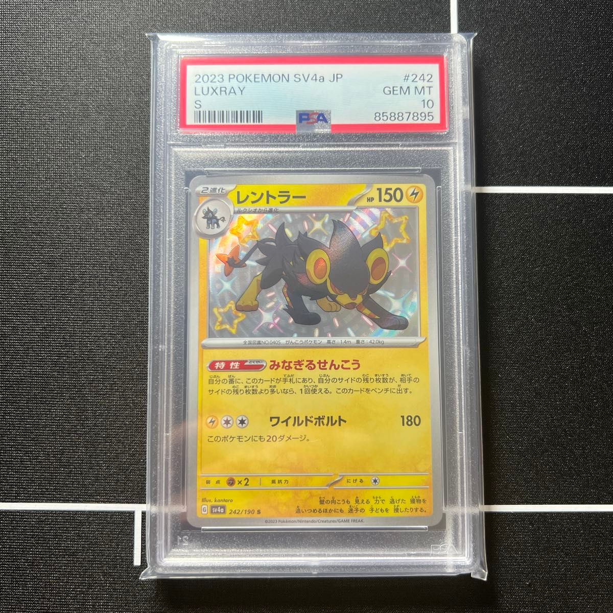 レントラー S PSA10 色違い ポケモンカード シャイニートレジャー