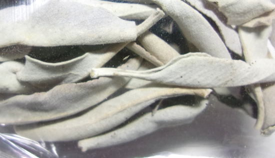 ( price cut price )[ white sage ] approximately 10g entering ( package type ) leaf part only . compilation .. - 