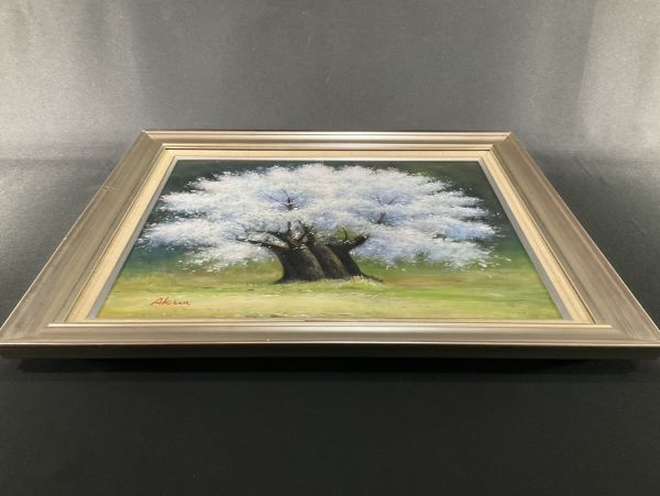 真作□油彩□西田彰□『根尾薄墨桜』□10号・大型最高傑作□細密 真作□油彩□西田彰□『根尾薄墨桜』□10号・大型最高傑作□細密