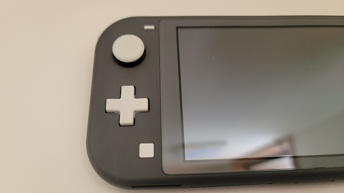 【中古・美品】Nintendo Switch Lite グレー +おまけSDカード256GB付き_画像4