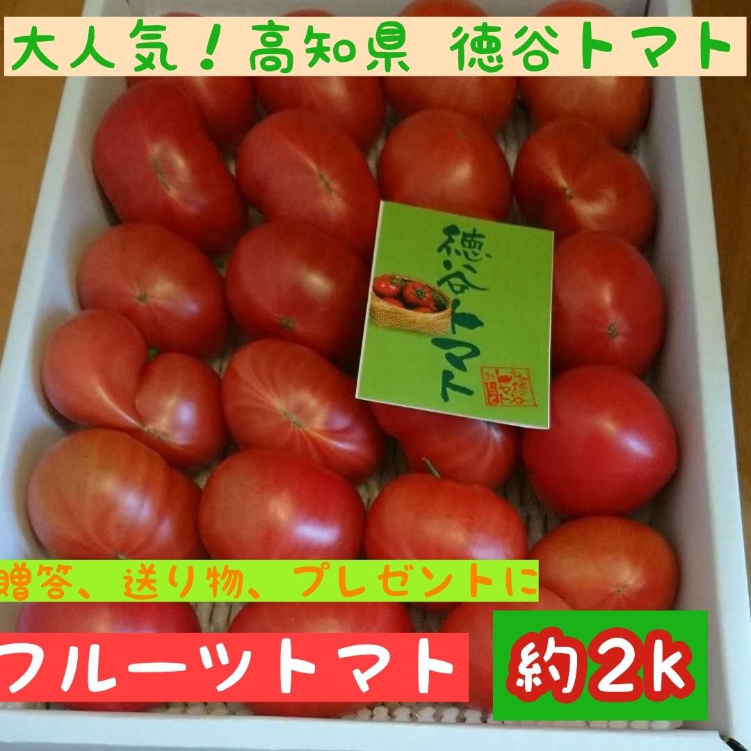 高知県産 徳谷トマト フルーツトマト 送料無料 約2kg