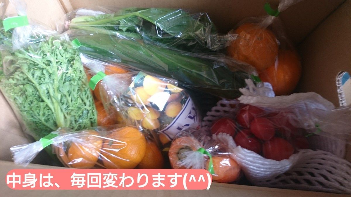 野菜・果物セット(^^) 送料無料  約2,0k～少し訳あり 