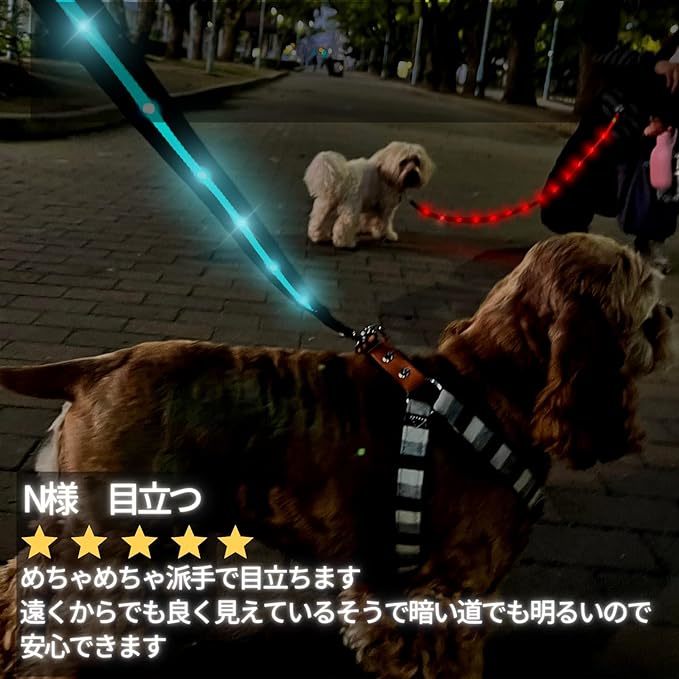 TERUI Lights 光る リード 犬 LED 充電式 USB ライト ペットの夜のお散歩に最適 1.2m 1サイズ 小型犬 中型犬 大型犬 用品 蛍光 (グリーン)_画像2